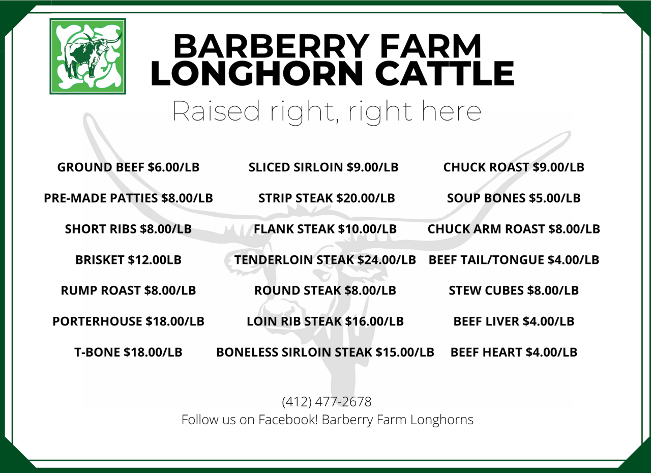 GrassFed Texas Longhorn Beef For Sale at Barberry Farm near Pittsburgh